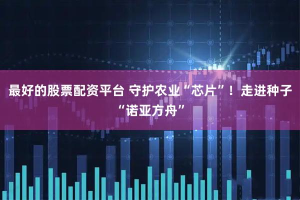 最好的股票配资平台 守护农业“芯片”！走进种子“诺亚方舟”