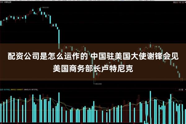 配资公司是怎么运作的 中国驻美国大使谢锋会见美国商务部长卢特尼克